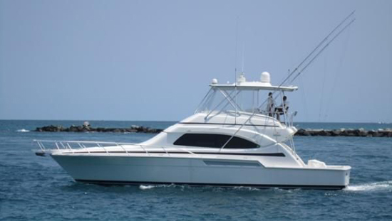 2007 510 Bertram